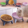 Cat Dog Bowl