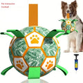 Pet Football Toys