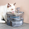 Pet Cat Dog Stainless