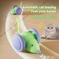 Pet Toys Cat Toy